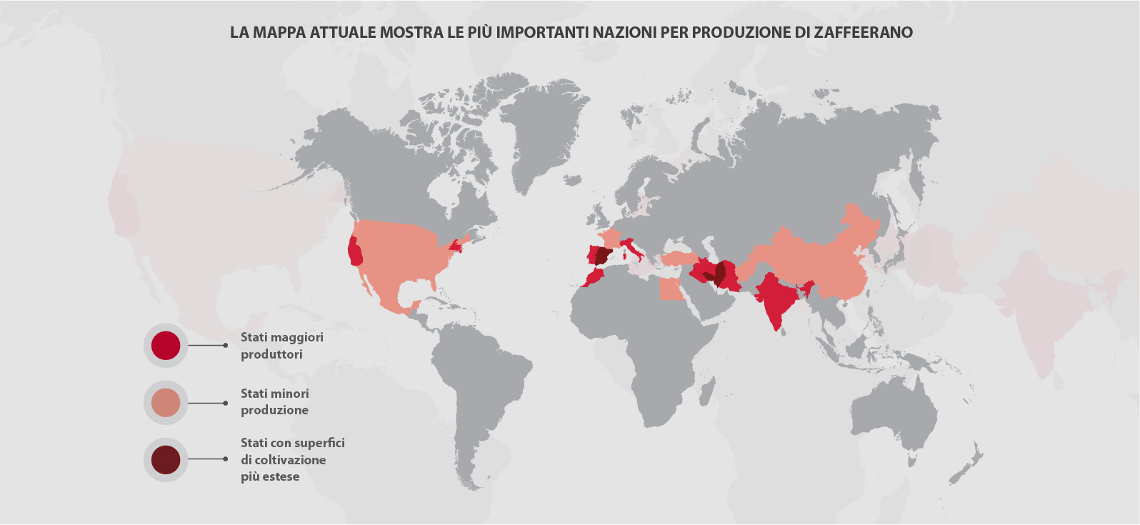 Zafferano Biologico Italiano produzione Mallamacigroup