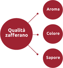 zafferano Italiano in polvere